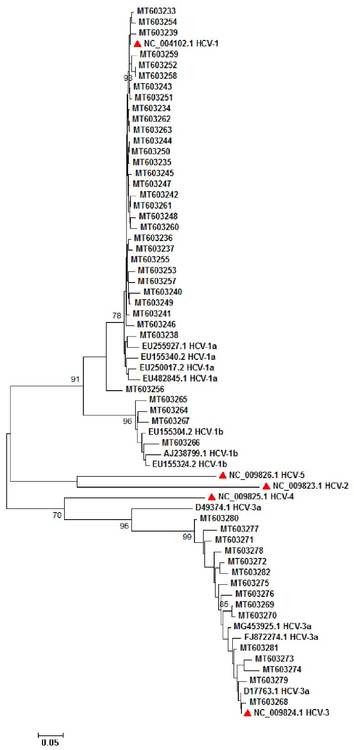 Fig. 4: