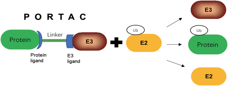 Figure 5