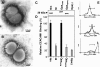 FIG. 1.