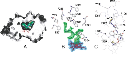 Fig. 6.