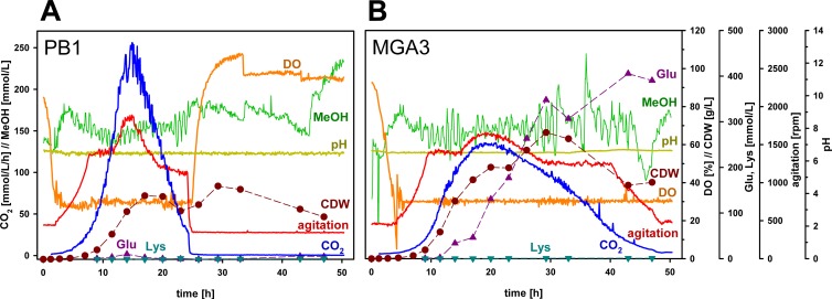 FIG 1