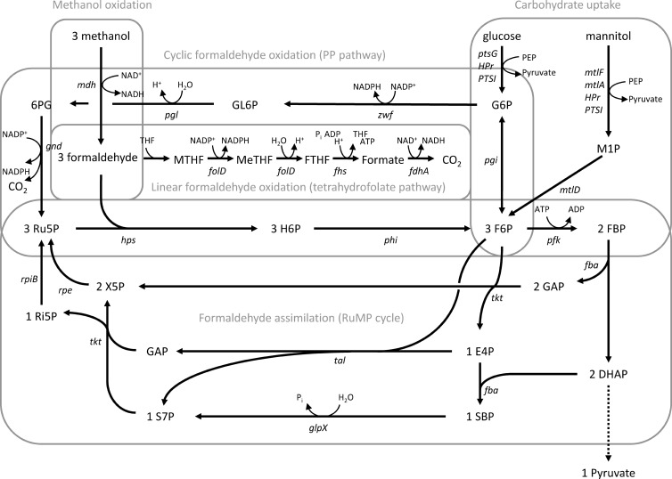 FIG 3