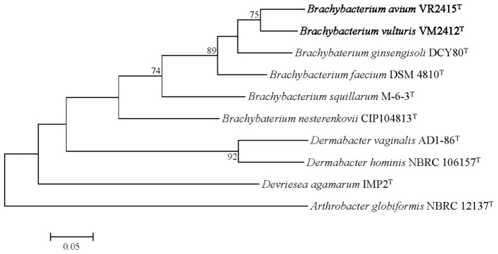 FIGURE 3