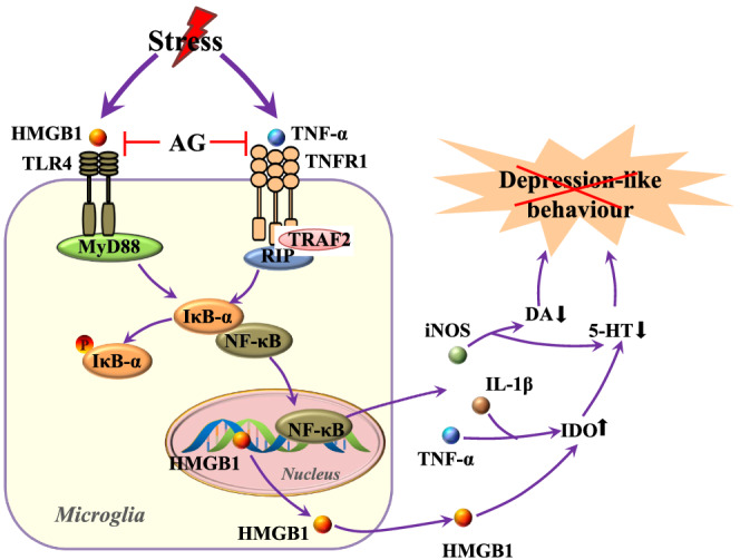 FIGURE 10