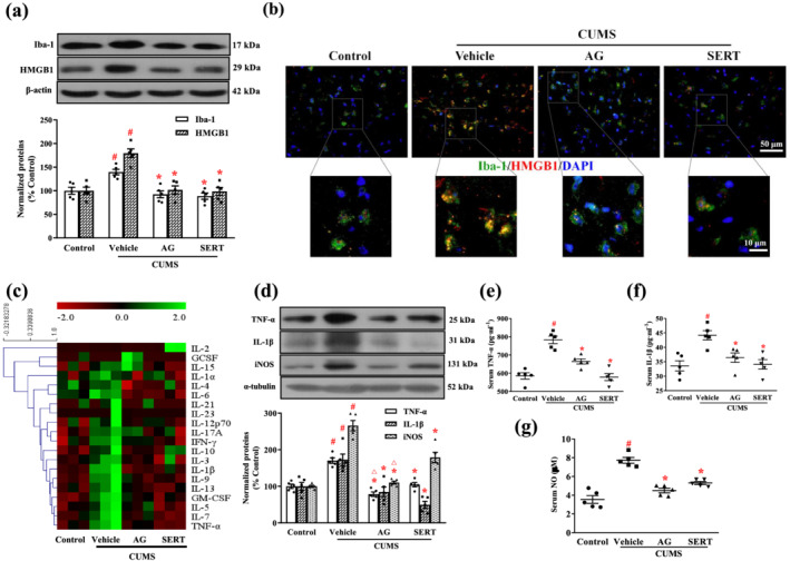 FIGURE 3