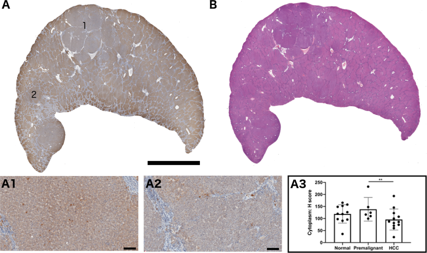 Fig 3.