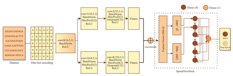 Fig (2)