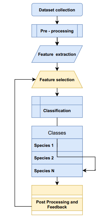 Fig. (1)