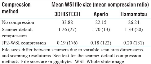 graphic file with name JPI-9-20-g007.jpg