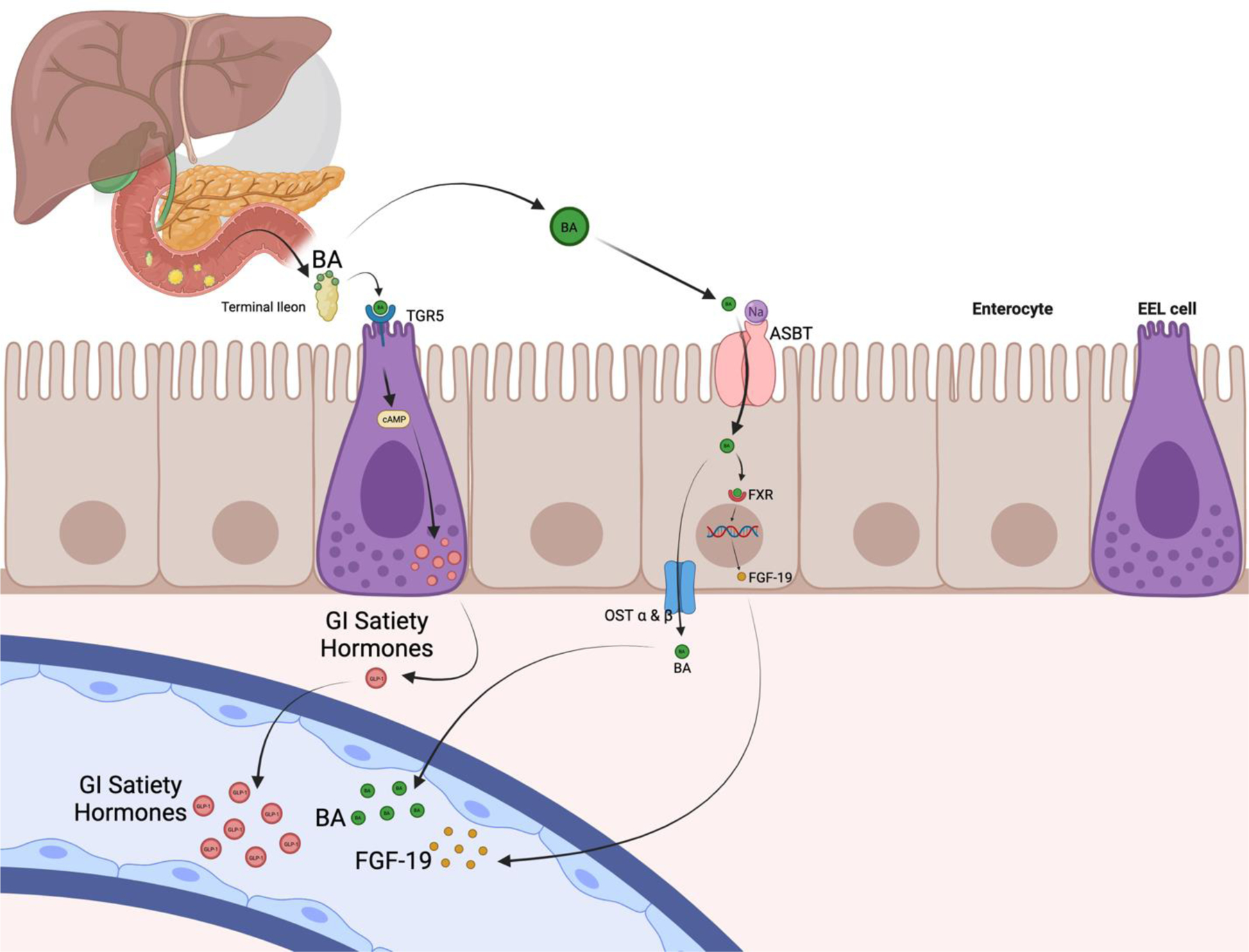 Figure 2: