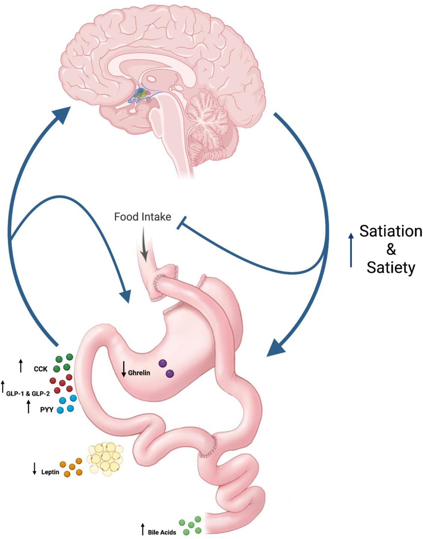 Figure 3: