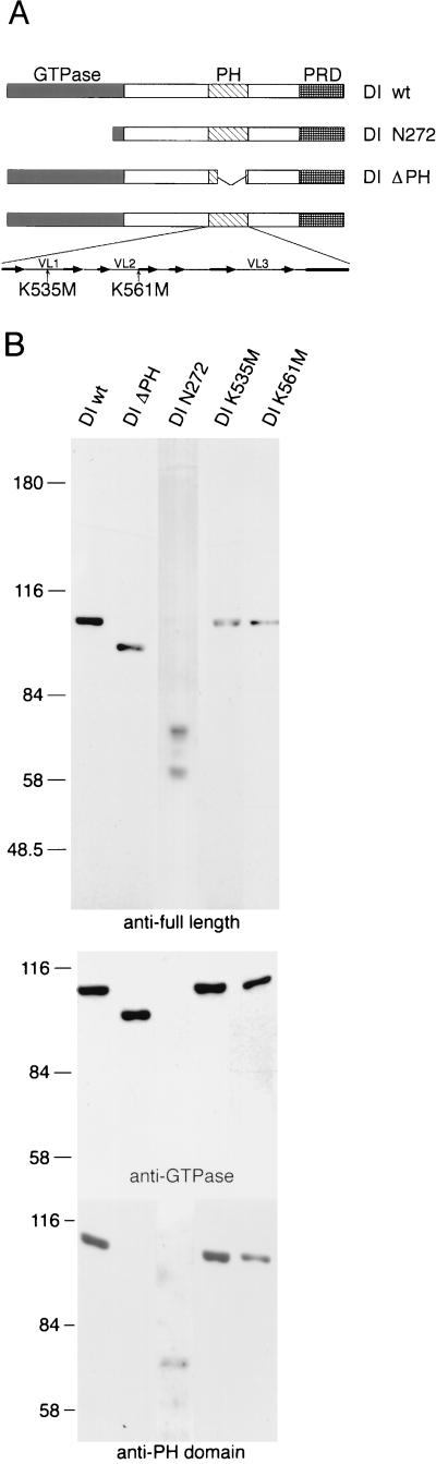 FIG. 1