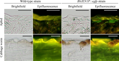 FIG. 8.