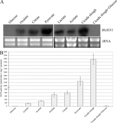 FIG. 6.