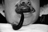 Fig. 8