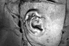 Fig. 12