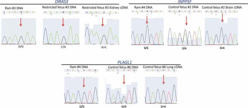 Figure 4.