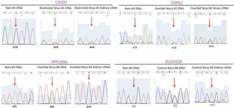 Figure 3.