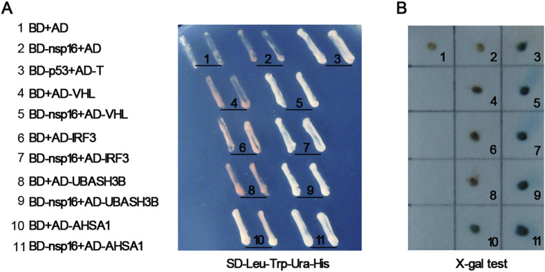 Fig. 1