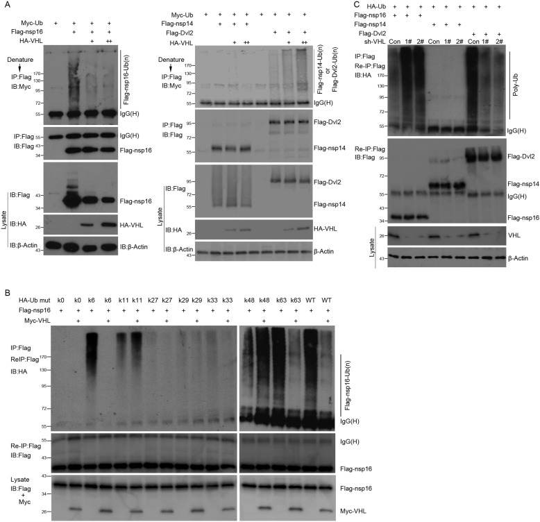 Fig. 4