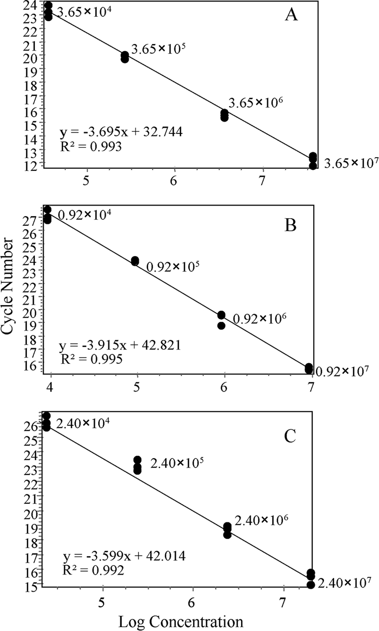 FIG. 1.