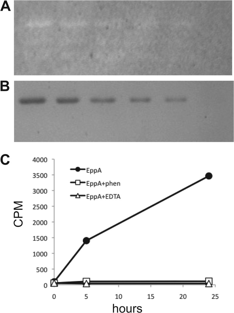 Fig 5