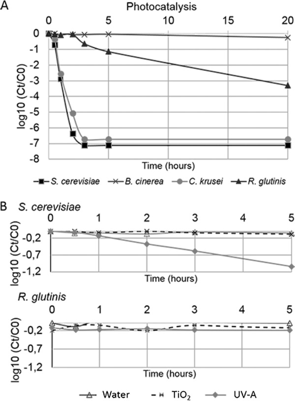 FIG 6