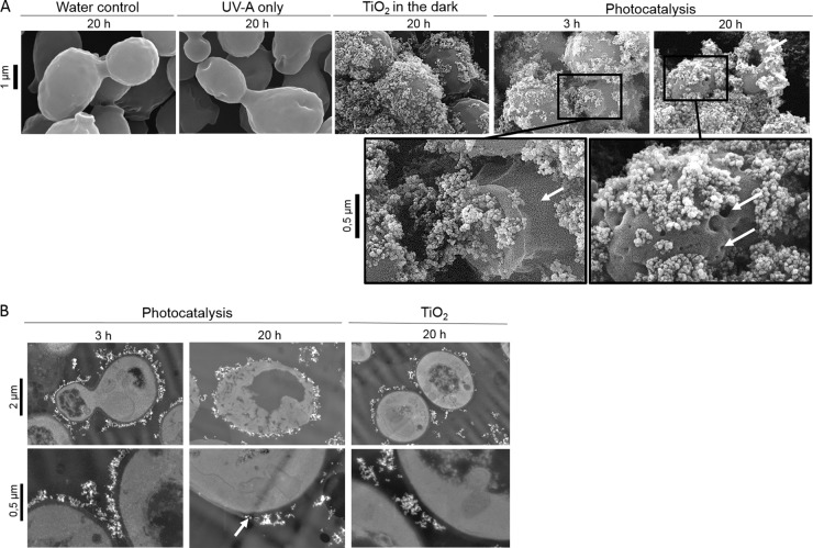 FIG 1