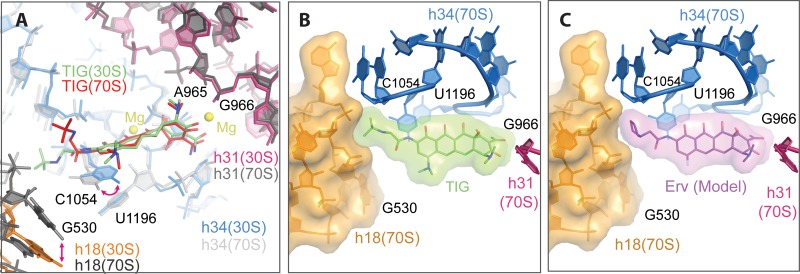 FIG 3