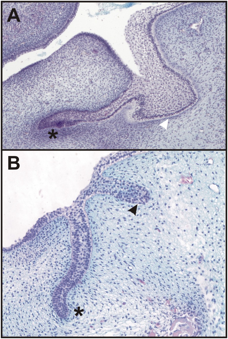 Fig 5