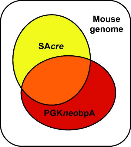 FIG. 8.