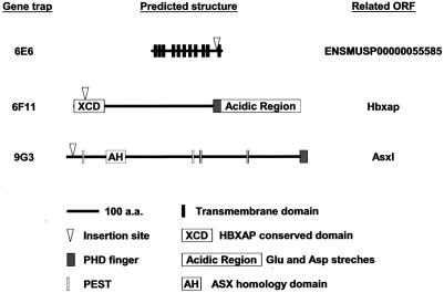 FIG. 6.