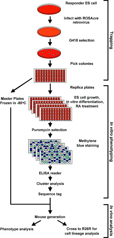 FIG. 3.