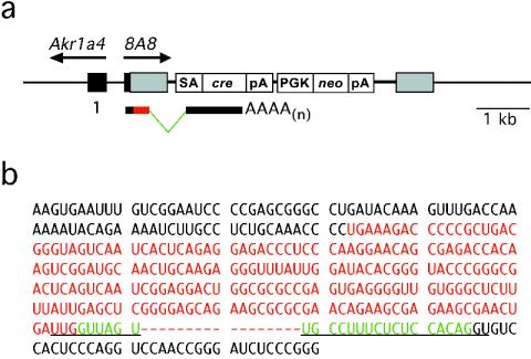 FIG. 7.