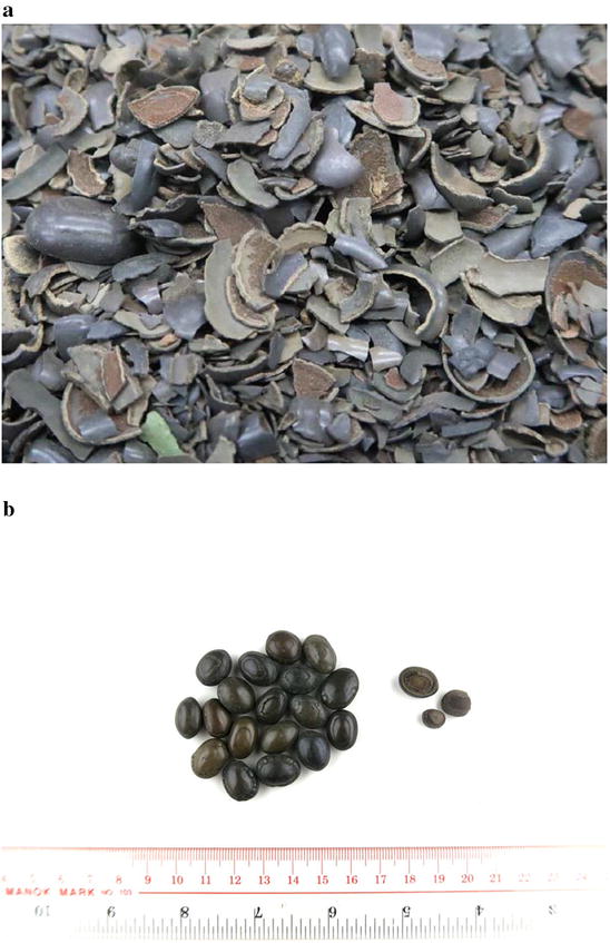 Fig. 6