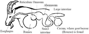 Fig. 2
