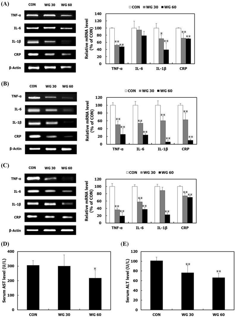 Fig. 6