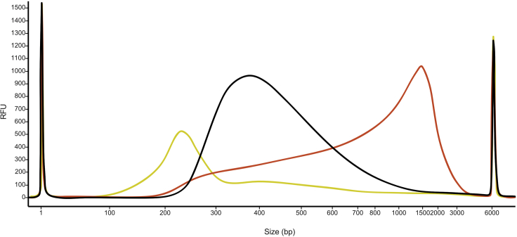 Figure 3