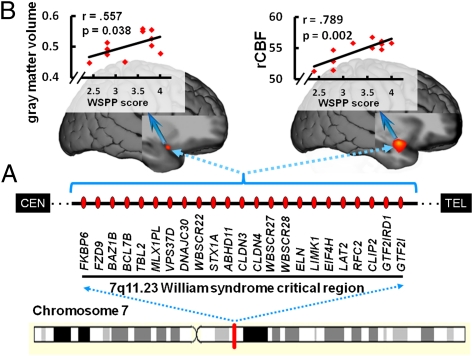 Fig. P1.