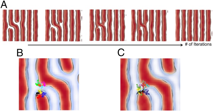 Fig. 3.