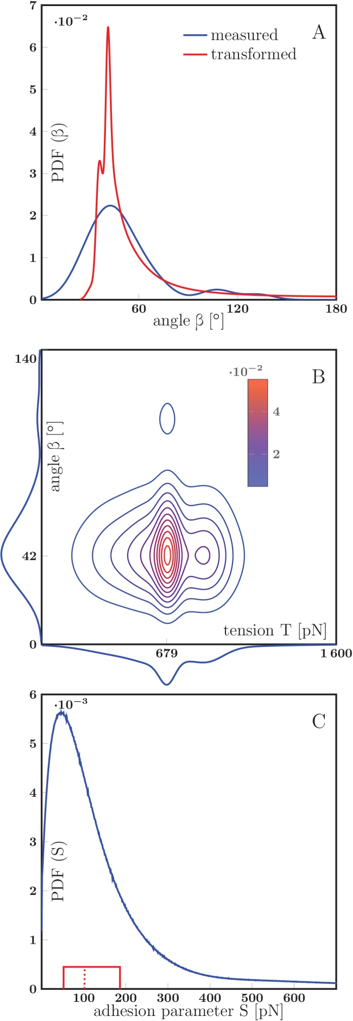 Figure 8—figure supplement 2.