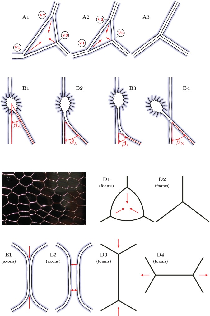 Figure 13.