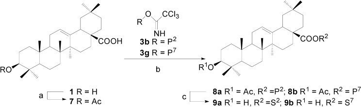 Scheme 2