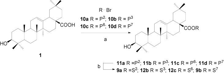 Scheme 3