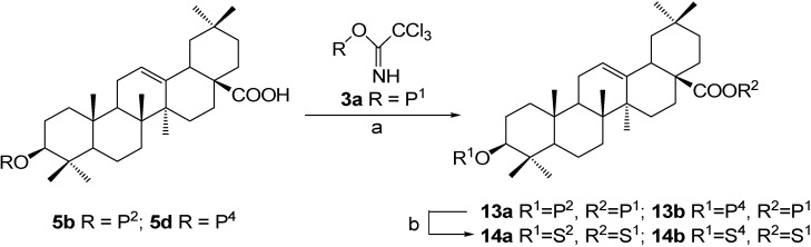 Scheme 4