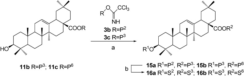 Scheme 5