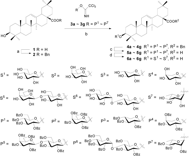 Scheme 1