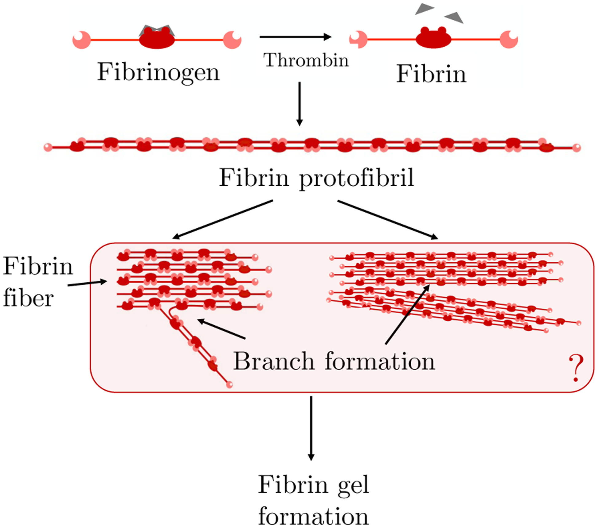 Fig. 1: