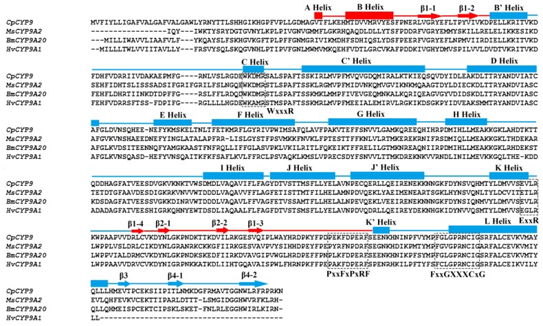 Figure 2.