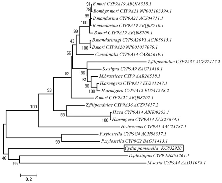 Figure 3.